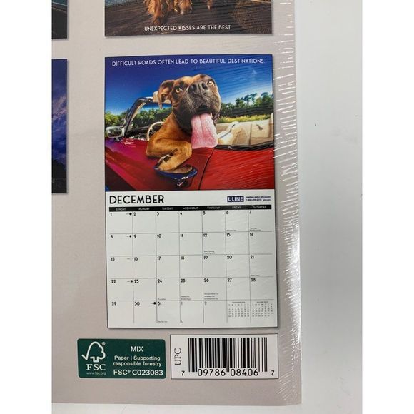 Uline dogs life 18 month wall calendar 2024 6124 - Picture 4 of 5